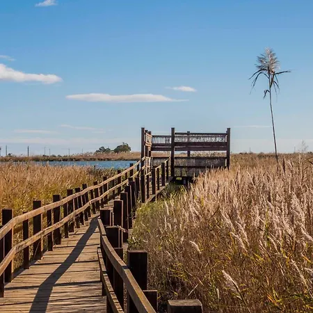 Paradise Ebro 2 Dom wakacyjny